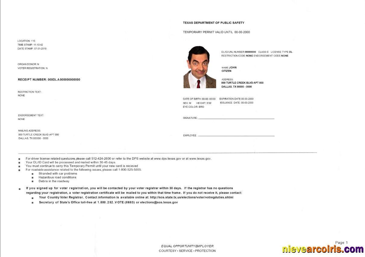 USA Texas temporary driving permit